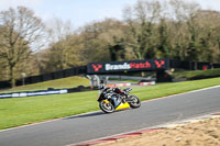 Middle 2 Group Yellow Bikes